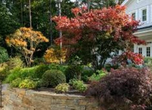 Symbolbild zur Meldung "Hecken/Sträuchern"